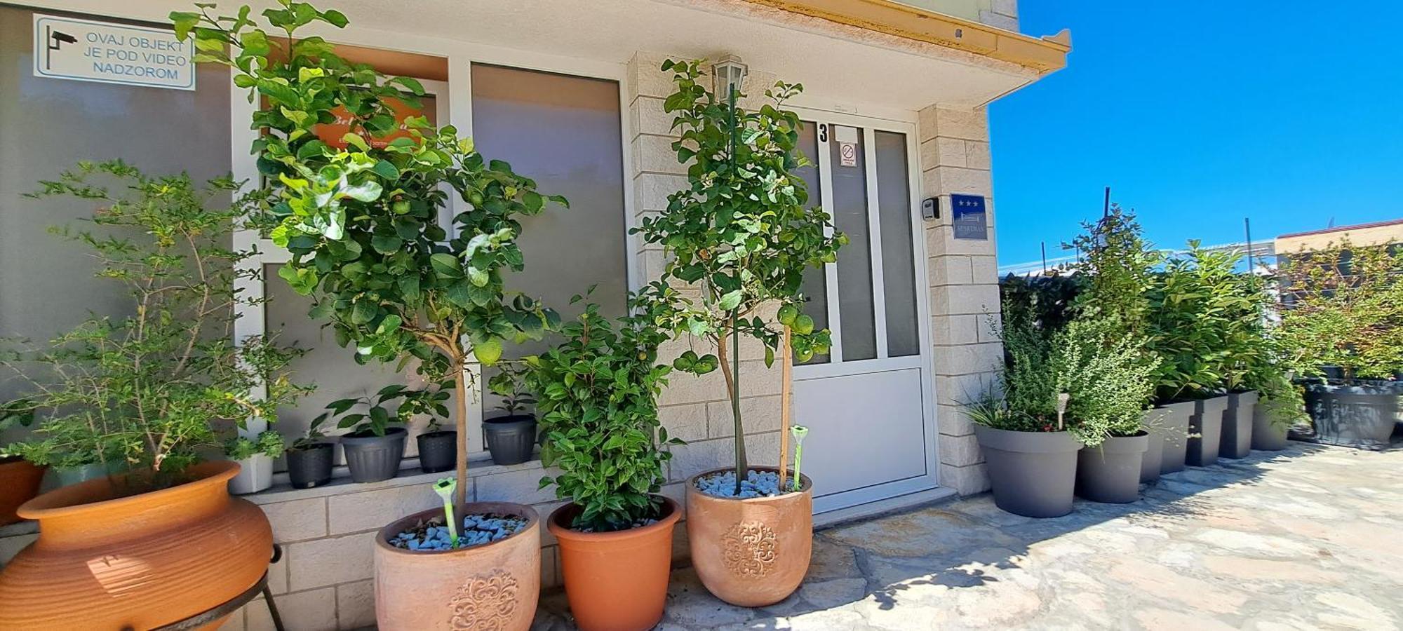 Apartments Villa Bella Vista Hvar Χβαρ Εξωτερικό φωτογραφία
