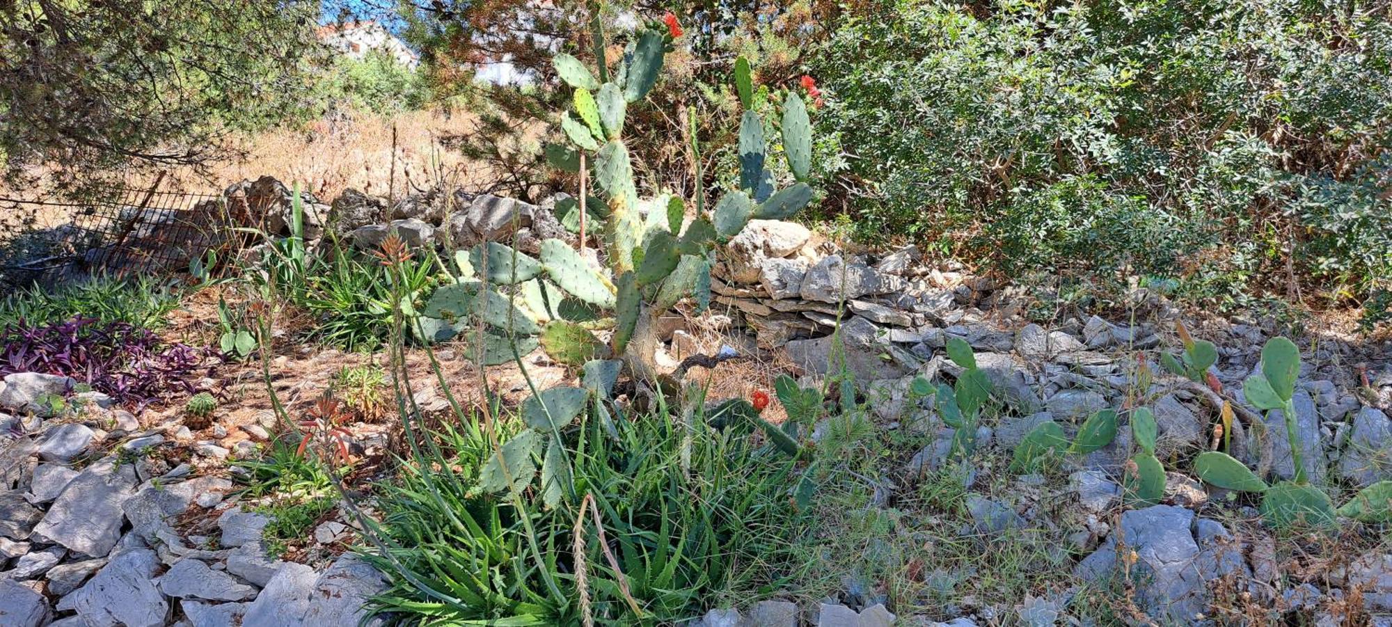 Apartments Villa Bella Vista Hvar Χβαρ Εξωτερικό φωτογραφία